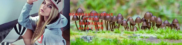 mdma Киреевск