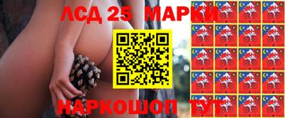 дмт Малоярославец