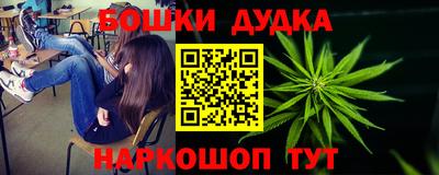 индика Бийск