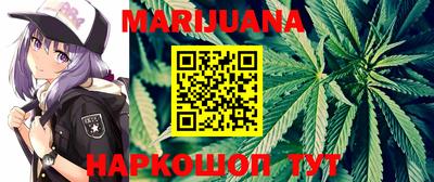 индика Бийск