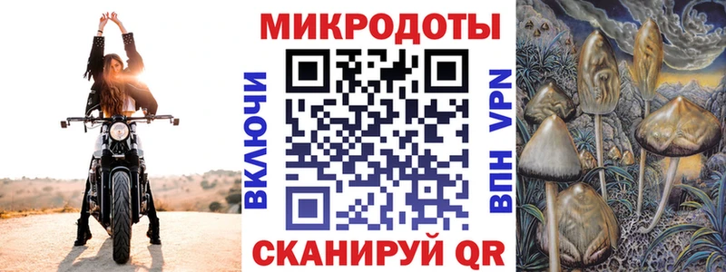 Галлюциногенные грибы Psilocybine cubensis  Купить где  Ейск 