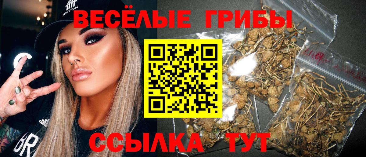 Галлюциногенные грибы мицелий Ейск