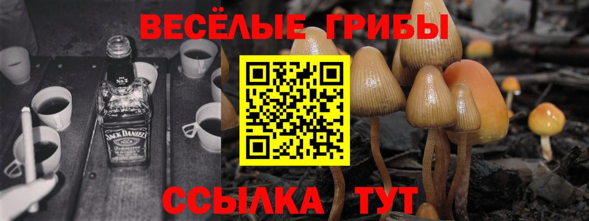 Героин  ЭКСТАЗИ  COCAIN  Меф МЯУ МЯУ кристаллы  A-PVP СК кристаллы  Кодеин  Марихуана  Ейск  Меф МЯУ МЯУ   ГАШ 